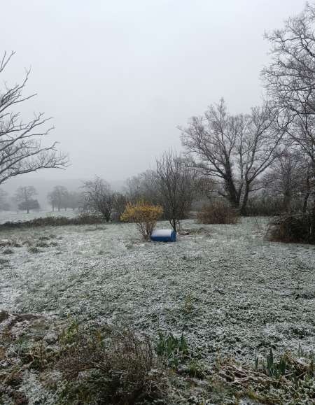 Photo ads/2524000/2524930/a2524930.jpg : Relation suivi et plus