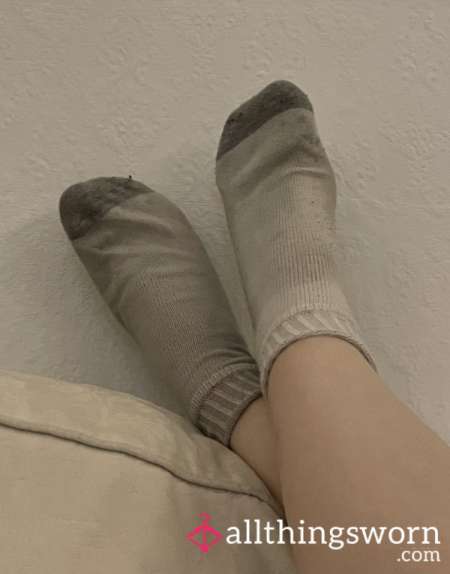 Photo ads/2526000/2526908/a2526908.jpg : Bon chien bouffeurs de chaussettes sales pour dom