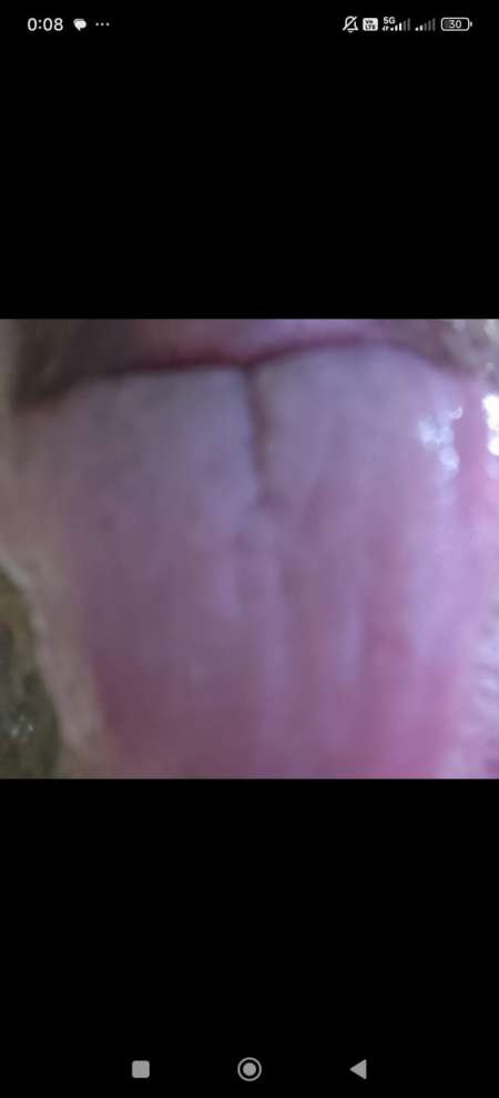 Photo ads/2530000/2530352/a2530352.jpg : Toutes vos envies sont très bienvenues