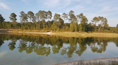 Photo ads/2533000/2533918/a2533918.jpg : voyeur pour cple voiture parking