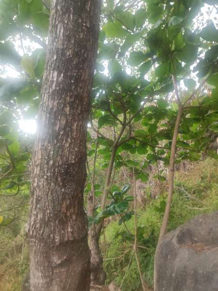 Photo ads/2536000/2536124/a2536124.jpg : Recherche femme pour trio