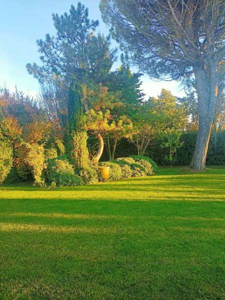 Photo ads/2537000/2537676/a2537676.jpg : viager sans rente***