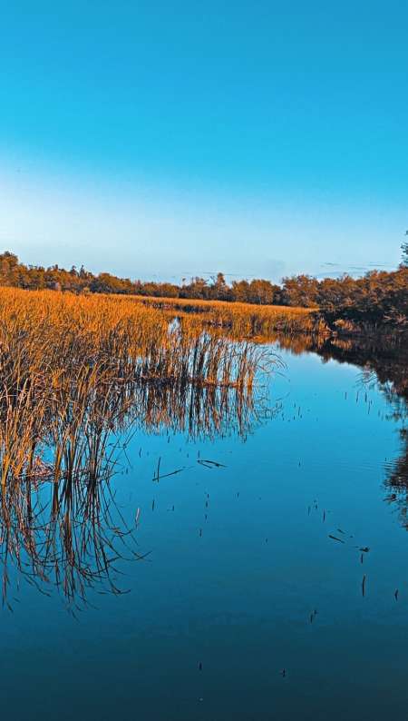 Photo ads/2541000/2541634/a2541634.jpg : Sortire prendre l air