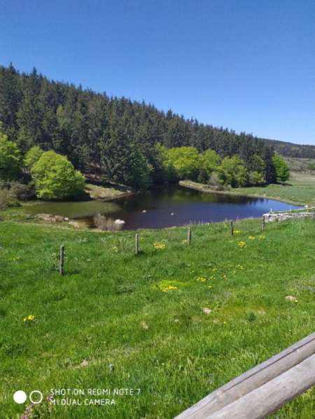 Photo ads/2542000/2542451/a2542451.jpg : HOMME Mûr propose Cunni à Femmes