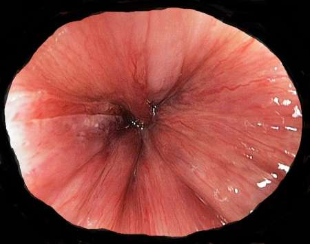 Photo ads/2549000/2549332/a2549332.jpg : Qui de Très Bien Monté pour me Dépuceler un Hétéro