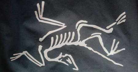 Photo ads/2554000/2554042/a2554042.jpg : En manque comme moi