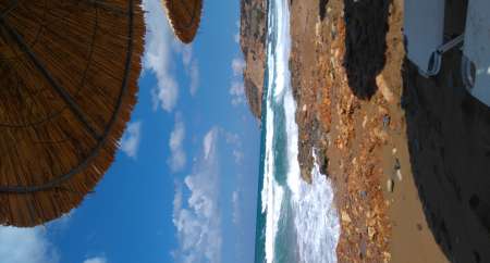 Photo ads/2555000/2555156/a2555156.jpg : UNE RENCONTRE SYMPA