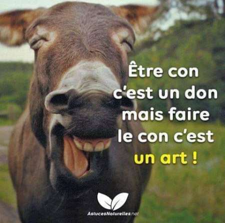 Photo ads/2555000/2555512/a2555512.jpg : cherche femmes ou couples