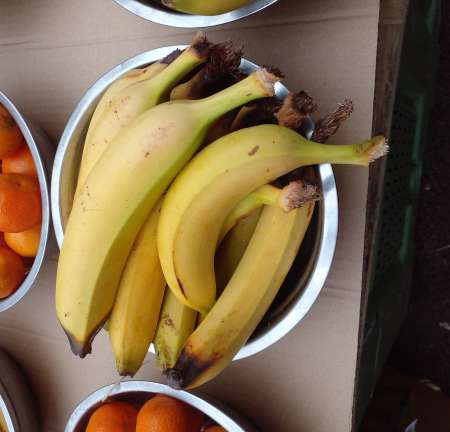 Photo ads/2556000/2556232/a2556232.jpg : Je cherche à sucer une bonne jeune queue magrebin