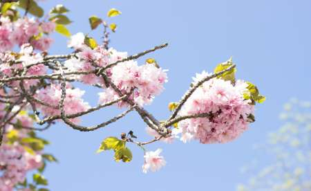 Photo ads/2556000/2556776/a2556776.jpg : HOMME cinquantaine pour FEMME passionnée