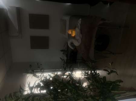 Photo ads/2557000/2557284/a2557284.jpg : Massage professionnel