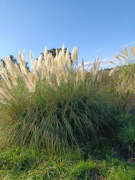 Photo ads/2558000/2558646/a2558646.jpg : rencontre sans lendemain