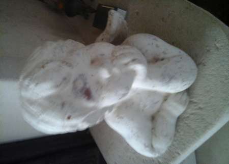 Photo ads/2558000/2558649/a2558649.jpg : rencontrehagetmaumimizan