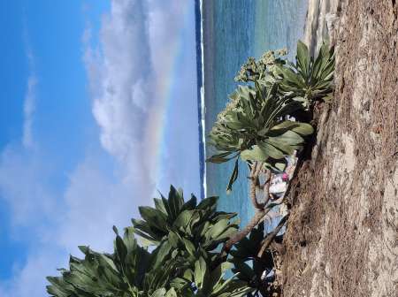 Photo ads/2559000/2559032/a2559032.jpg : F rech relation sérieuse authentique