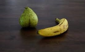 Photo ads/2559000/2559578/a2559578.jpg : pour le plaisir des sens ,dans tous les sens