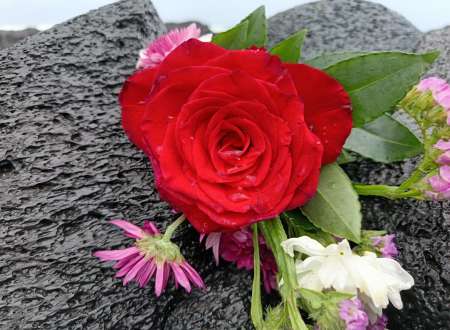 Photo ads/2561000/2561183/a2561183.jpg : Jeune homme cherche femme pour nudes