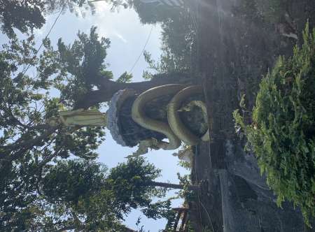 Photo ads/2561000/2561346/a2561346.jpg : Rencontre femme délaissée ou en manque