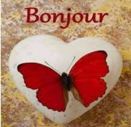 Photo ads/2562000/2562322/a2562322.jpg : Cunni en douceur sans limite