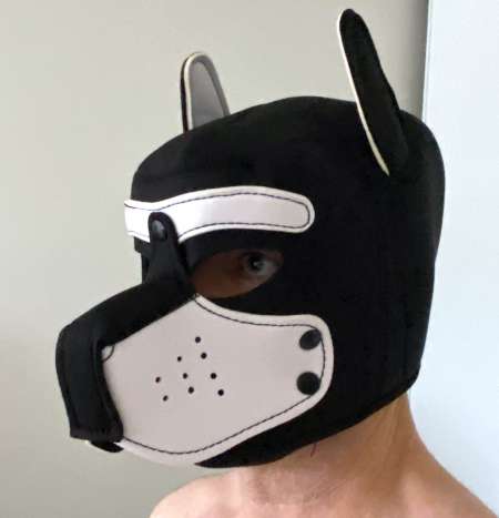 Photo ads/2564000/2564422/a2564422.jpg : Masque de chien pour jeu BDSM