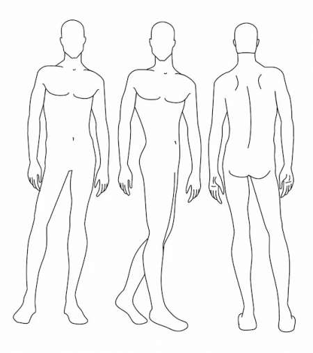 Photo ads/2564000/2564756/a2564756.jpg : H modèle dessin corps mince sculpté mature