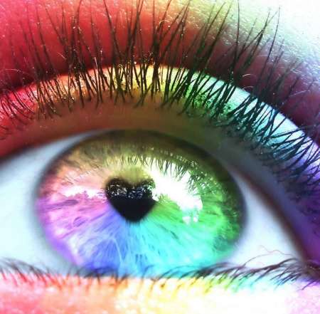 Photo ads/2567000/2567154/a2567154.jpg : ON SE FAIT REPAS CHATTE ......