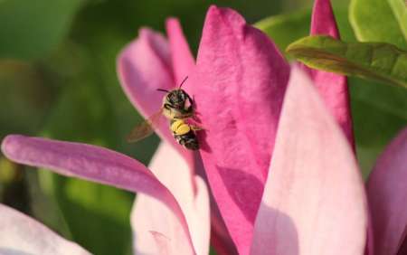 Photo ads/2568000/2568786/a2568786.jpg : Photographe amateur non venal