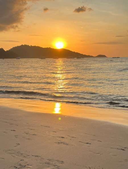 Photo ads/2568000/2568911/a2568911.jpg : UN PARTAGE DE DOUCEUR