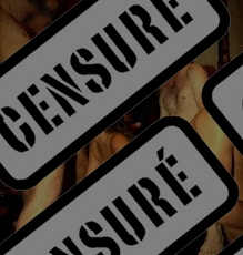 Photo ads/2572000/2572190/a2572190_censure_vol.jpg : Couple candauliste pour couple coquin