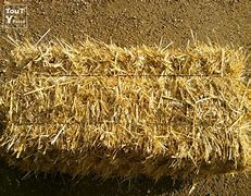 Photo ads/2573000/2573942/a2573942.jpg : blé ,avoine , orge, miel