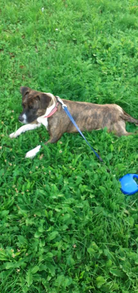 Photo ads/2580000/2580290/a2580290.jpg : Cherche femmes ou couples bi pour rencontres coqui