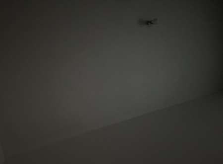 Photo ads/2583000/2583002/a2583002.jpg : Gentlemen a votre service