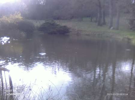 Photo ads/2584000/2584864/a2584864.jpg : Je suis a la recherche d une femme