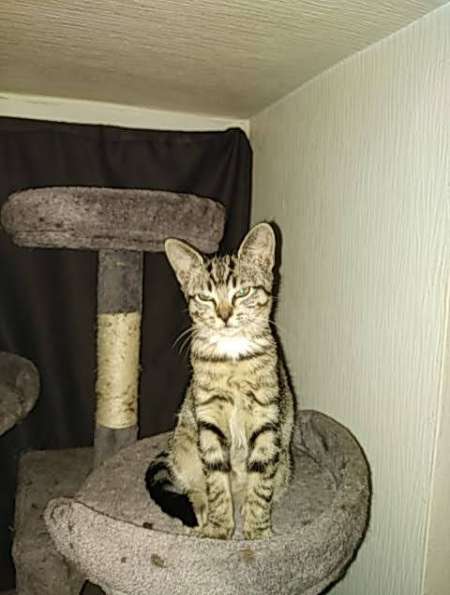 Photo ads/2586000/2586175/a2586175.jpg : Recherche d une coquine sans tabous non venale