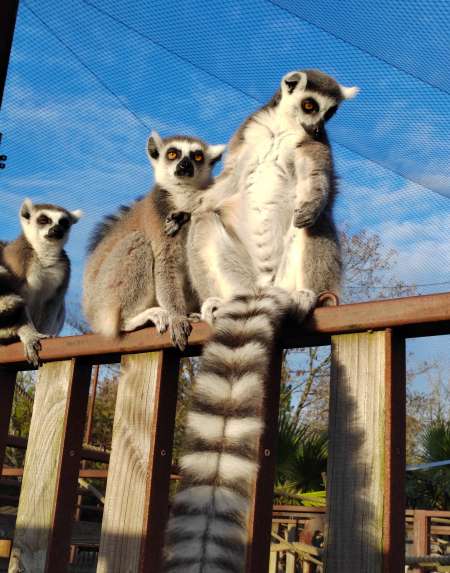 Photo ads/2590000/2590800/a2590800.jpg : Papa gentil et respectueux