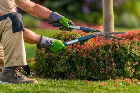 Photo ads/2592000/2592890/a2592890.jpg : Entretien jardin pour femmes