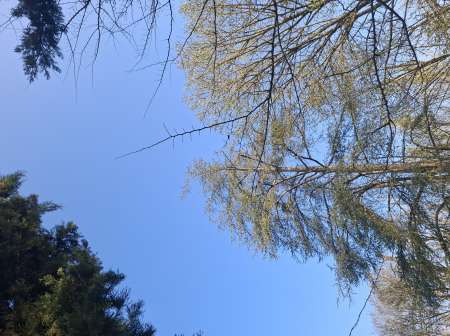 Photo ads/2595000/2595258/a2595258.jpg : Pour un moment de plaisir.