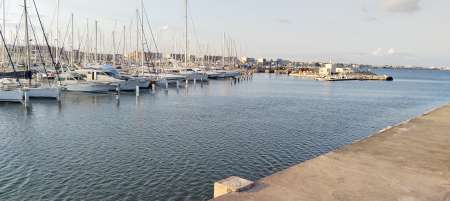 Photo ads/2598000/2598462/a2598462.jpg : Service bricolage jardinage