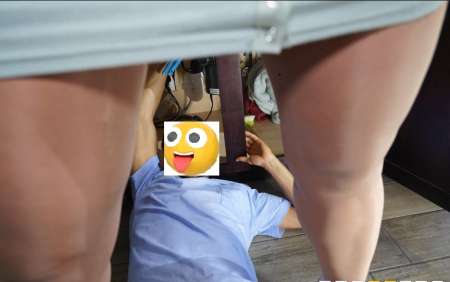 Photo ads/2599000/2599495/a2599495.jpg : Aide Femme pour tous travaux et autres services