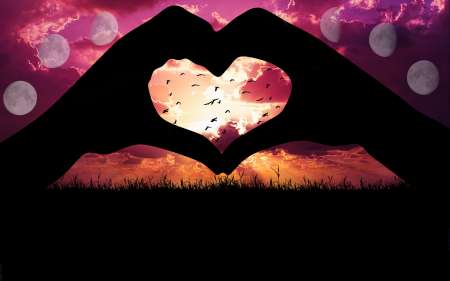 Photo ads/2600000/2600804/a2600804.png : Zoreil recherche sa cafrine ou malbaraise de coeur