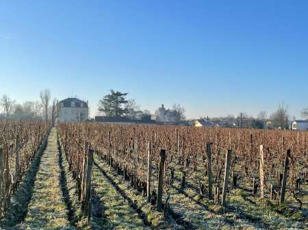 Photo ads/2601000/2601164/a2601164.jpg : Massage énergétique