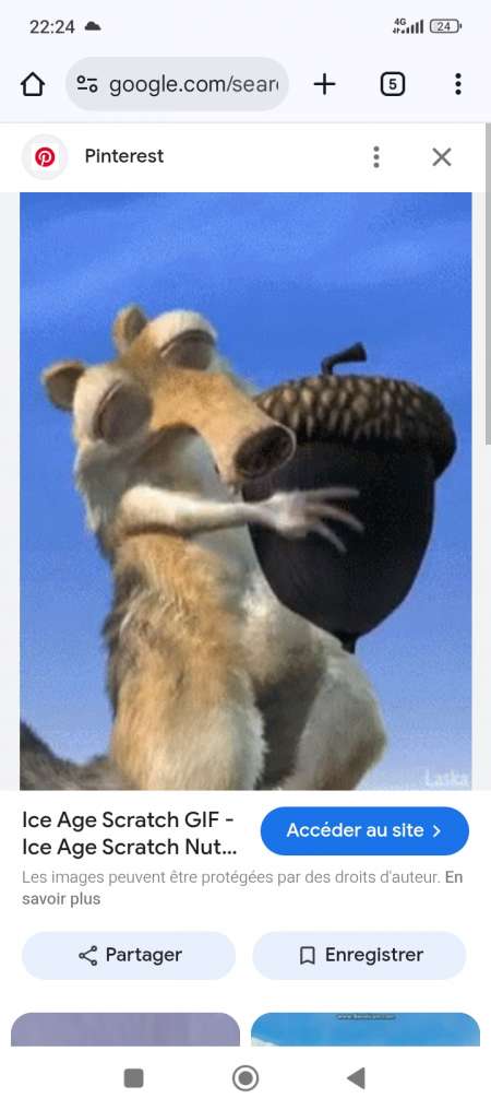 Photo ads/2603000/2603646/a2603646.jpg : Gros gland pour plaisir