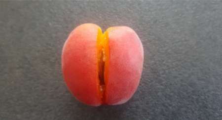 Photo ads/2605000/2605562/a2605562.jpg : Recherche un bon moment