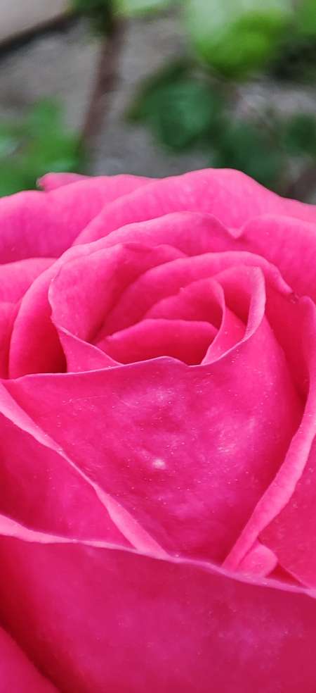 Photo ads/2605000/2605848/a2605848.jpg : Rencontre une femme sérieuse