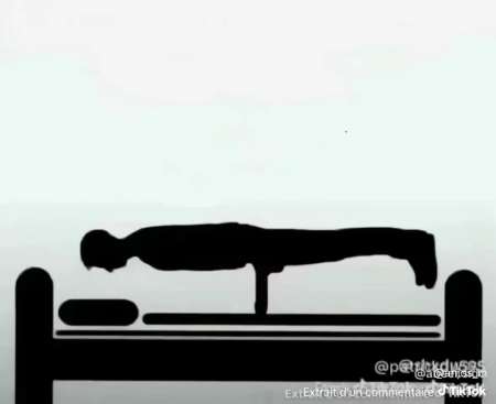 Photo ads/2608000/2608398/a2608398.jpg : Une bonne chatte lise