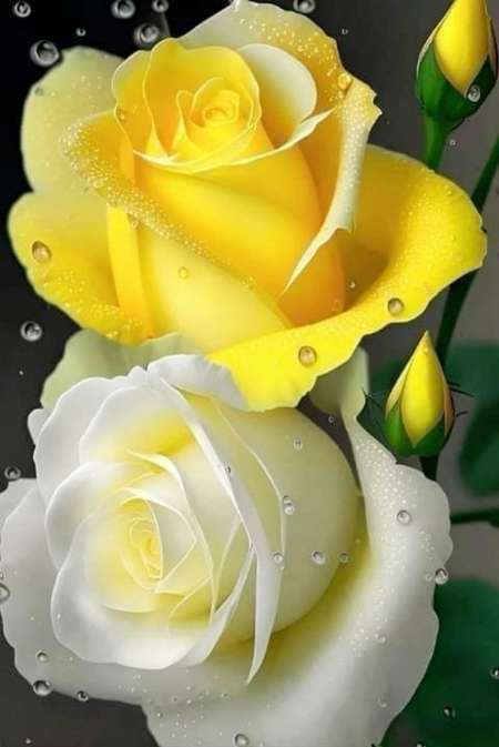 Photo ads/2608000/2608670/a2608670.jpg : Rencontrer des femmes pour du plaisir et du bonheu