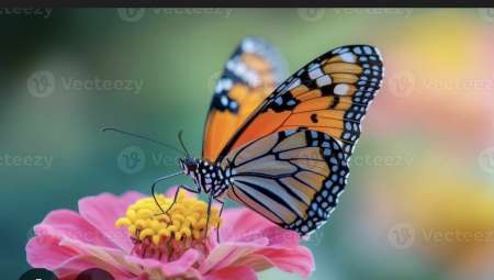 Photo ads/2609000/2609400/a2609400.jpg : Femme bi cherche femme