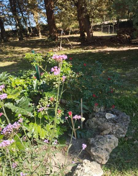 Photo ads/2611000/2611383/a2611383.jpg : Serviteur pour dames de tout âge