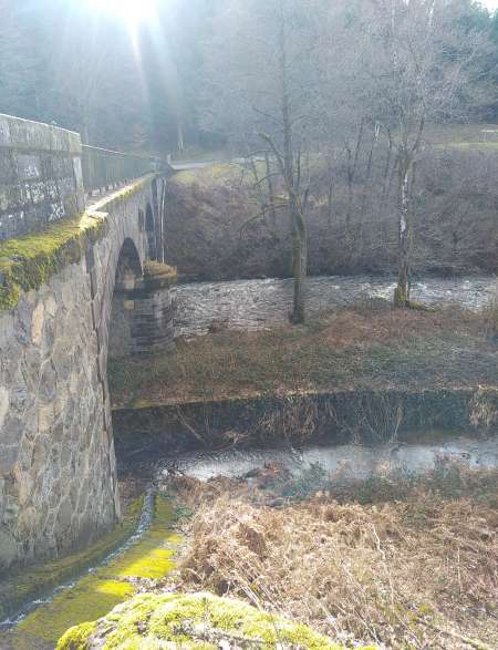 Photo ads/2612000/2612115/a2612115.jpg : Deux potes pour femmes