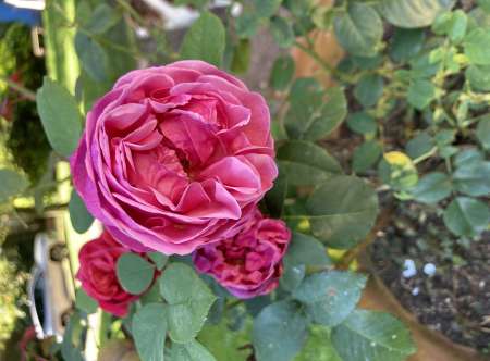 Photo ads/2614000/2614448/a2614448.jpg : Cherche jeune homme gay