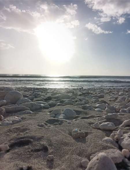 Photo ads/2615000/2615214/a2615214.jpg : Plan sex avec femme